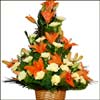 Melodies Moments - Click here to View more details about this Product